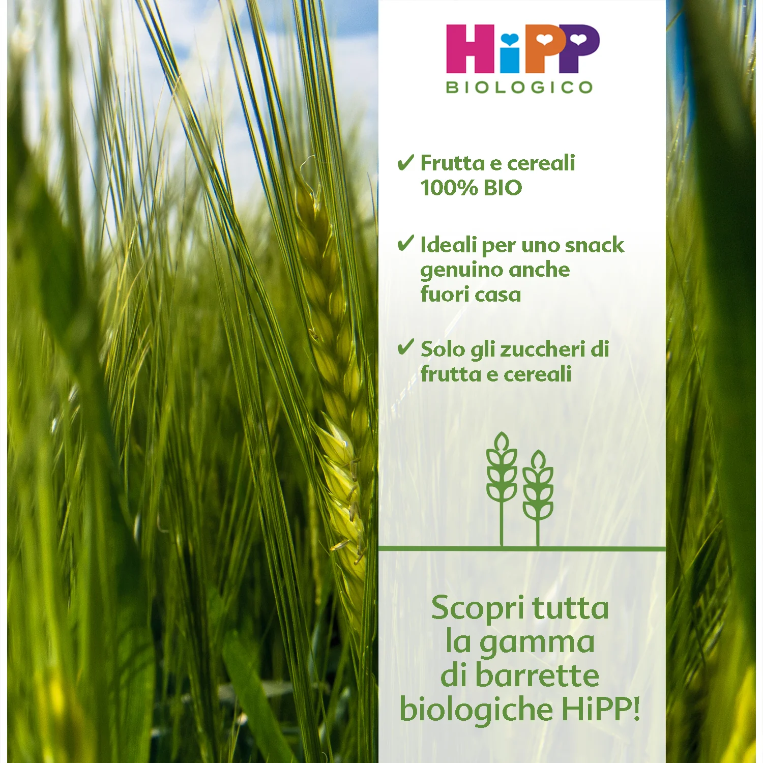 Hipp - Barrette Viva La Frutta Cereali Mela Pesca: Confezione 20 gr - Image 2