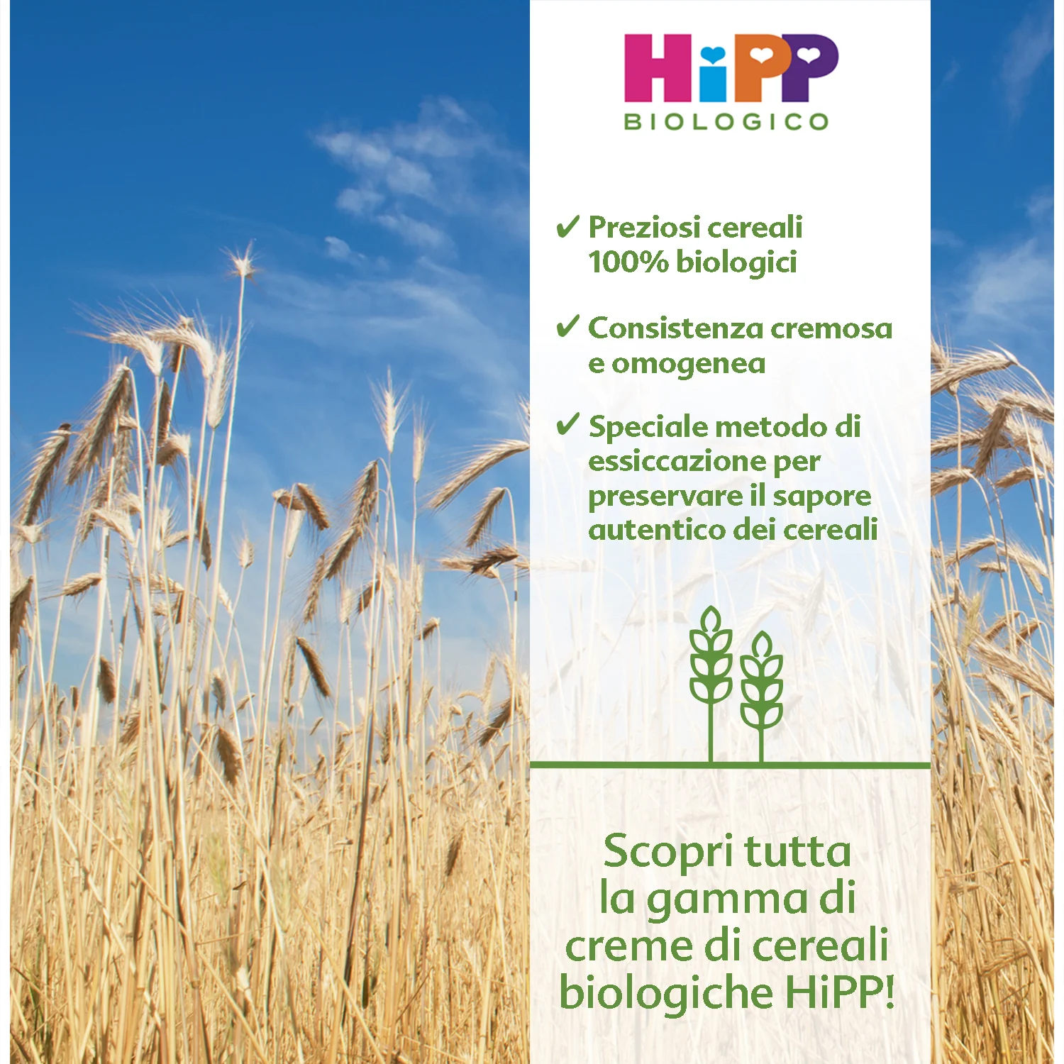 Hipp - Crema Di Avena: Confezione 200 gr - Image 2