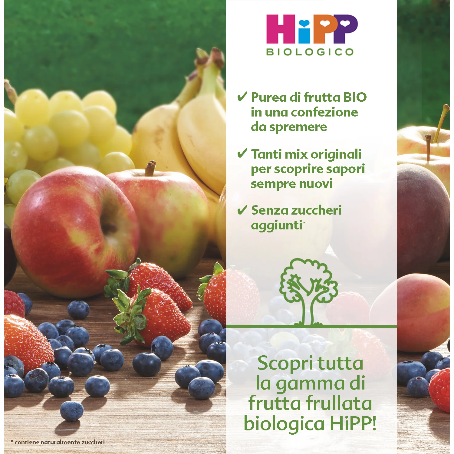 Hipp - Frutta Frullata Mela Mango Pesca: Confezione 90 gr - Image 2