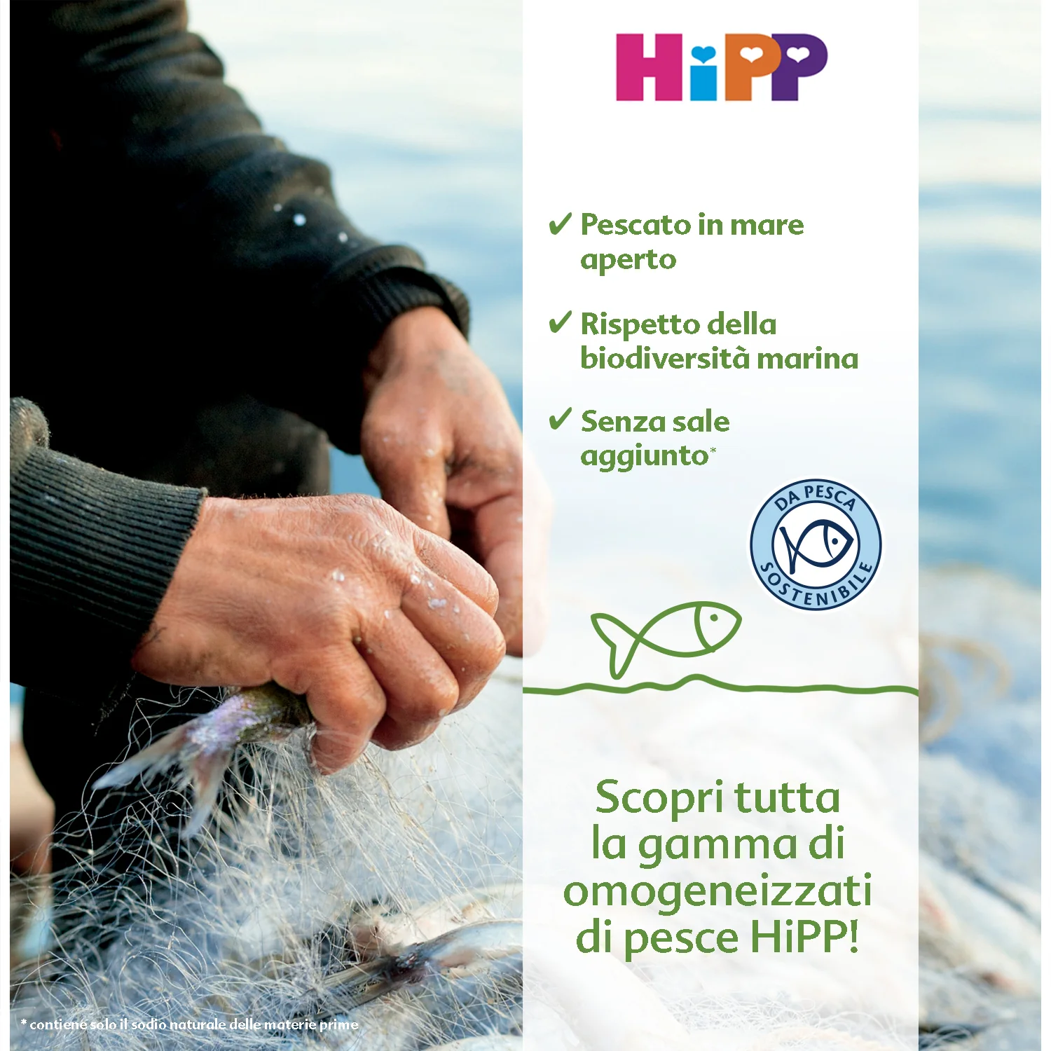 Hipp - Omogeneizzato Merluzzo Con Carote E Patate: Confezione 4x80 gr - Image 2