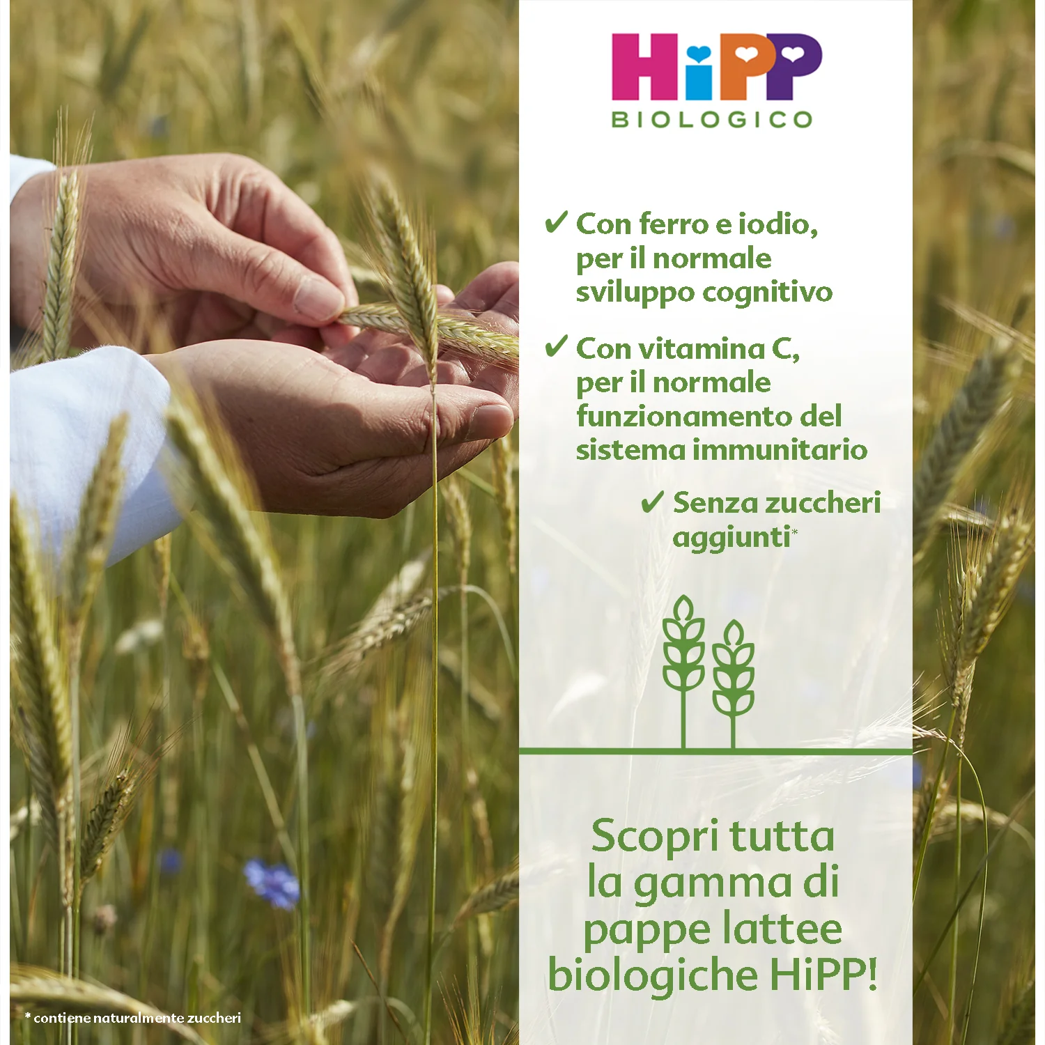 Hipp - Pappa Lattea Mela: Confezione 250 gr - Image 2