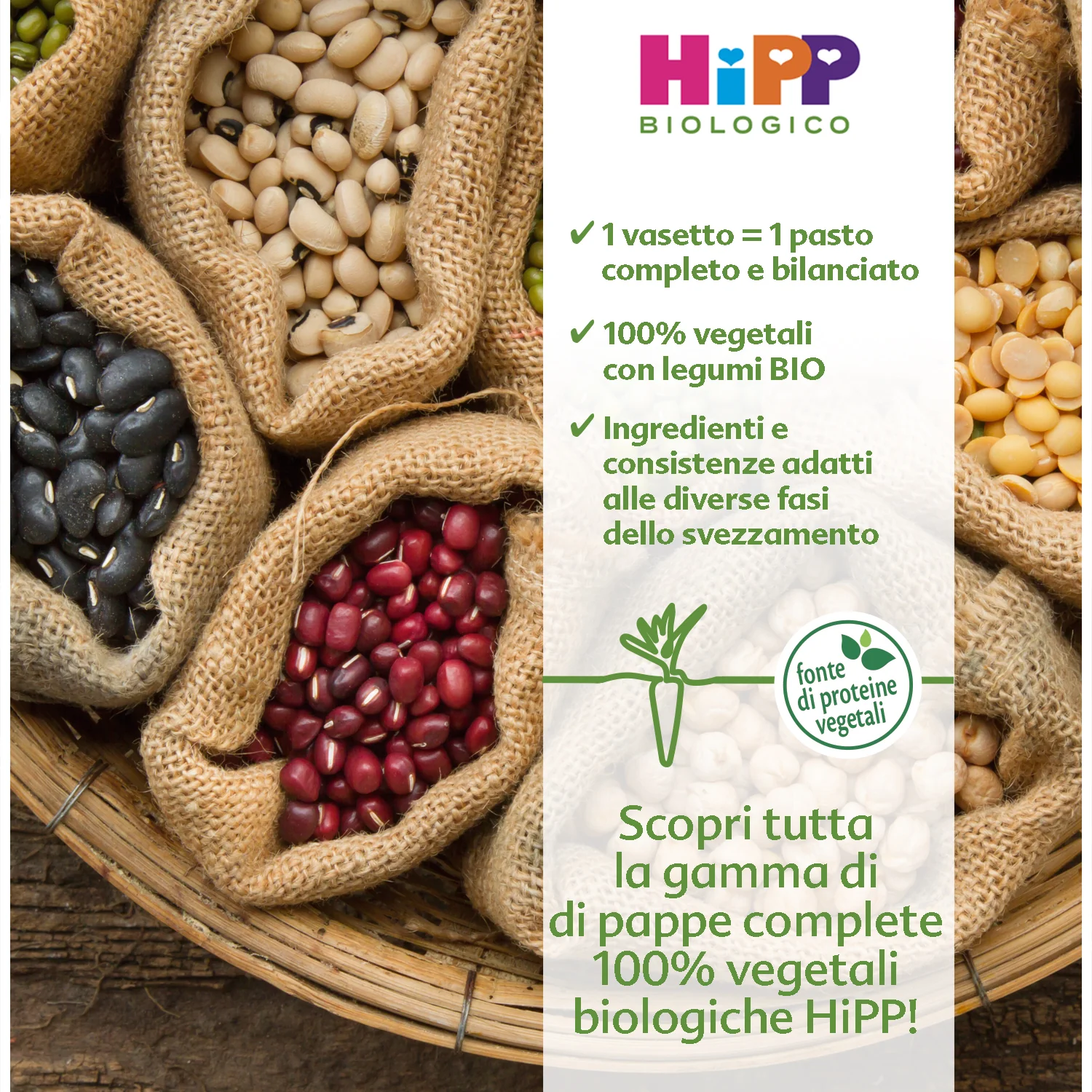 Hipp - Pappa Pronta Spaghetti Al Ragù Di Lenticchie: Confezione 250 gr - Image 2