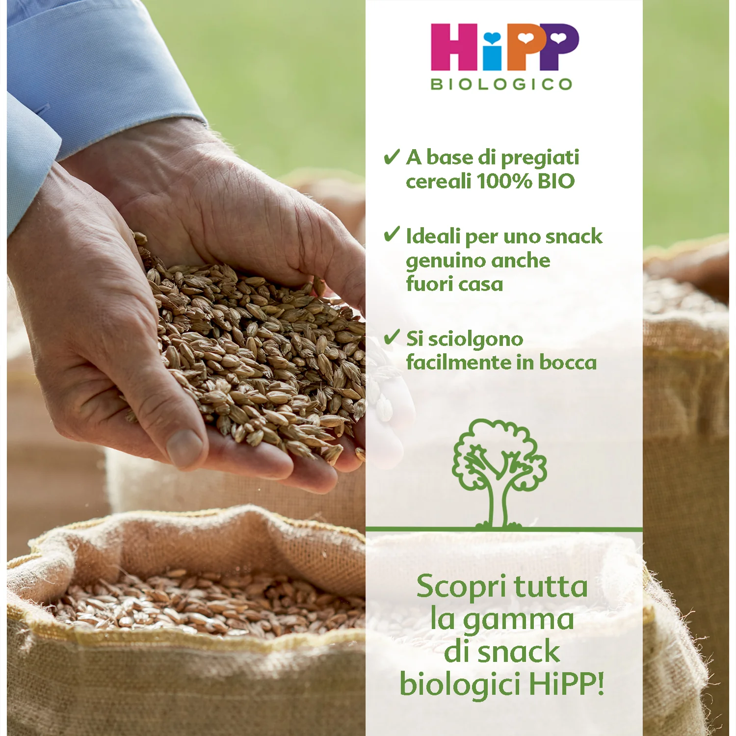 Hipp - Snack Anellini Di Farro E Avena: Confezione 30 gr - Image 2