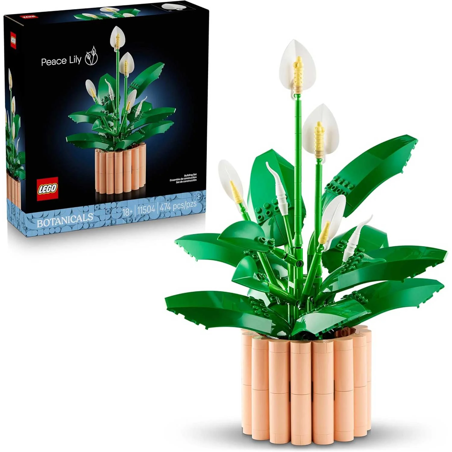 LEGO - Botanicals Spatifillo 11504 - Image 2