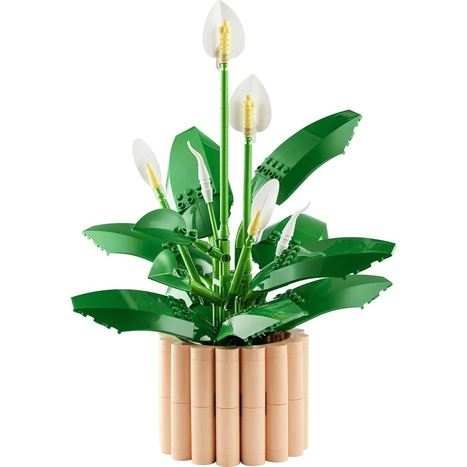 LEGO - Botanicals Spatifillo 11504 - Image 3