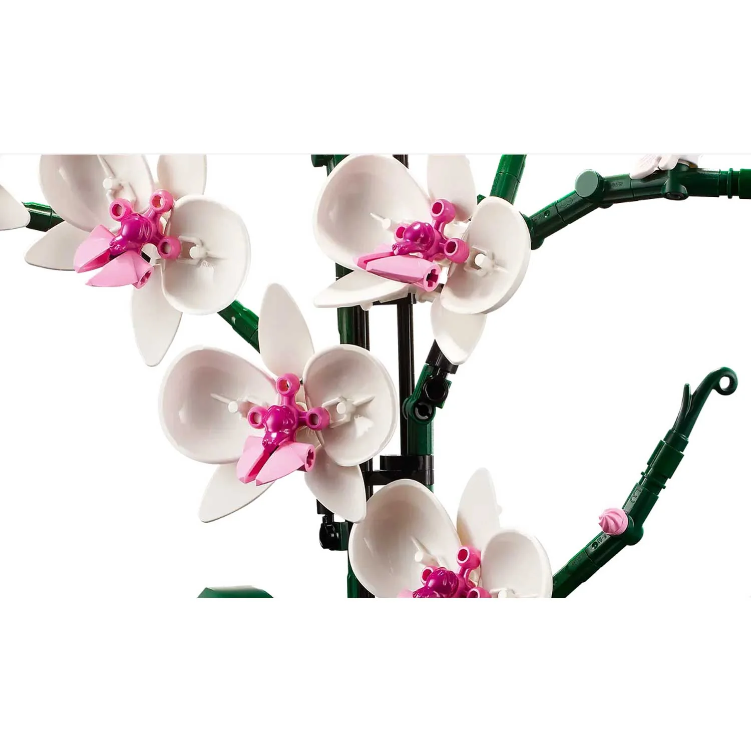 LEGO - Botanicals Orchidea 10311 - Image 4
