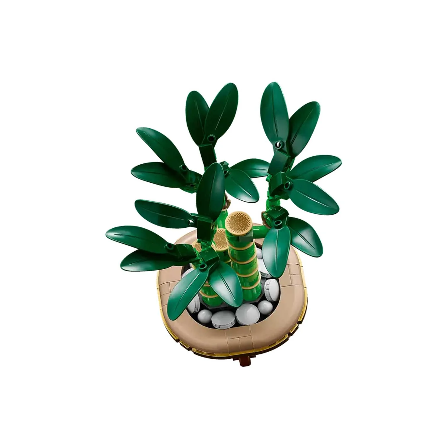 LEGO - Linea Botanicals: Bambu Del Buon Auspicio 10344 - Image 4