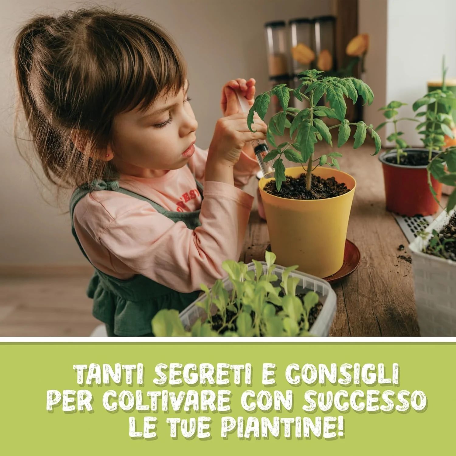 Lisciani - I'm A Genius Laboratorio Di Botanica - Image 4