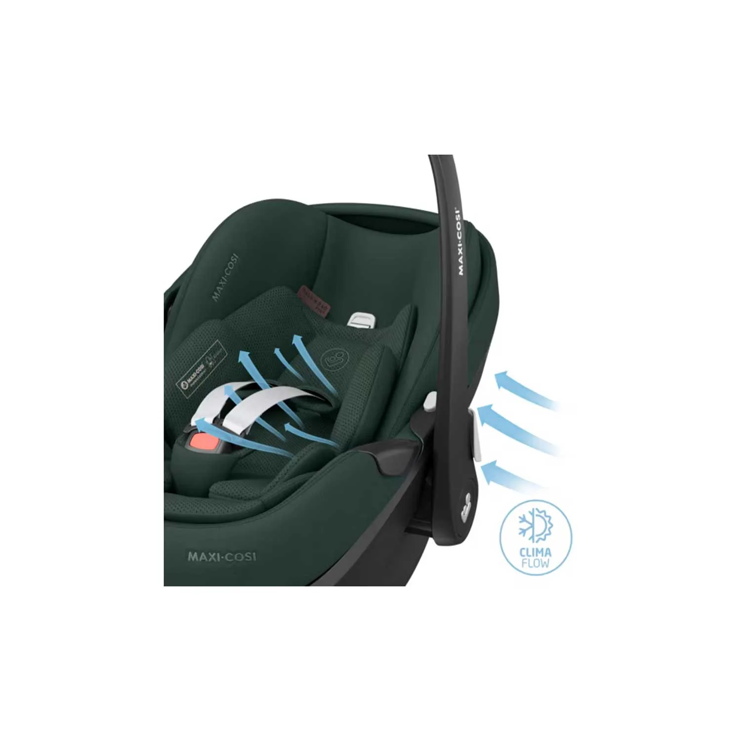 Maxi Cosi - Trio Oxford Plus Con Pebble 360 Pro2 + Family Fix 360 Pro Omaggio - Image 27