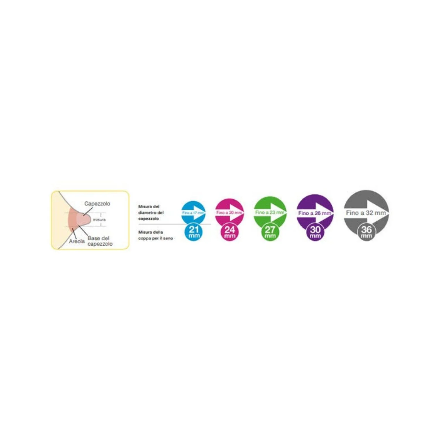 Medela Personalfit Flex (2 Coppe Per Il Seno) - Image 5
